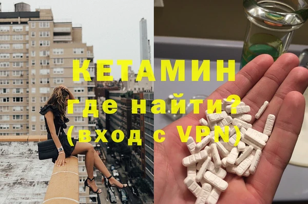 гашик Верея