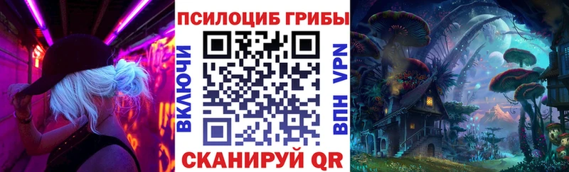Галлюциногенные грибы GOLDEN TEACHER  где можно купить наркотик  Благовещенск 